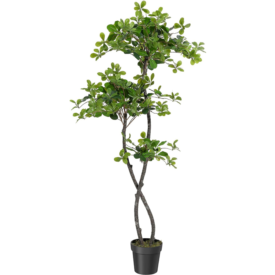 Baby Nursery Tree - Tanaman Buatan Dalam Ruangan, Pohon Zaitun